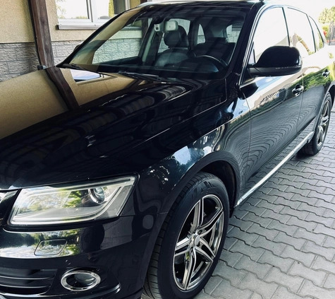 Audi Q5 cena 49999 przebieg: 303037, rok produkcji 2012 z Włocławek małe 254